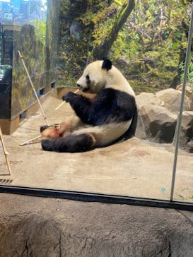 恩賜上野動物園に投稿された画像（2026/1/10）