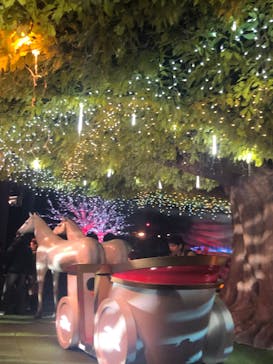 東京メガイルミに投稿された画像（2026/1/10）