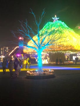 東京メガイルミに投稿された画像（2026/1/10）