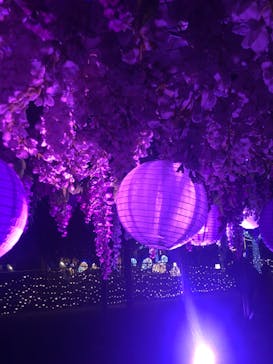 東京メガイルミに投稿された画像（2026/1/10）