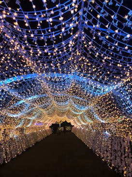 東京メガイルミに投稿された画像（2026/1/10）