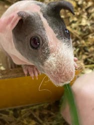 伊豆シャボテン動物公園に投稿された画像（2026/1/10）