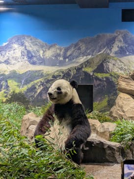 恩賜上野動物園に投稿された画像（2026/1/10）