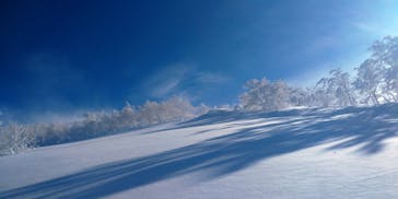 たざわ湖スキー場に投稿された画像（2026/1/10）