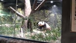 恩賜上野動物園に投稿された画像（2026/1/10）