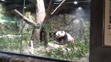 恩賜上野動物園に投稿された画像（2026/1/10）