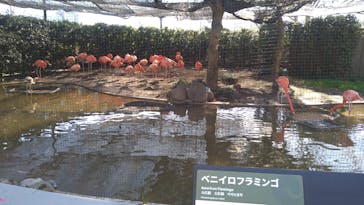 恩賜上野動物園に投稿された画像（2026/1/10）
