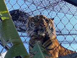 名古屋市東山動植物園に投稿された画像（2026/1/10）