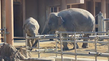 名古屋市東山動植物園に投稿された画像（2026/1/10）