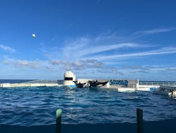 鴨川シーワールドに投稿された画像（2026/1/10）