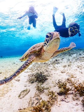 MONKEY NAVYに投稿された画像（2026/1/10）