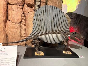 特別展「大絶滅展―生命史のビッグファイブ」に投稿された画像（2026/1/10）