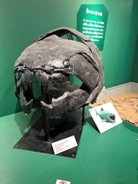 特別展「大絶滅展―生命史のビッグファイブ」に投稿された画像（2026/1/10）