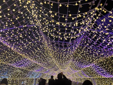 東京メガイルミに投稿された画像（2026/1/10）