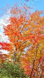 名古屋市東山動植物園に投稿された画像（2026/1/10）