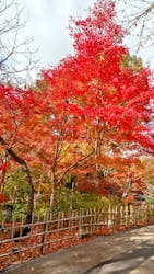 名古屋市東山動植物園に投稿された画像（2026/1/10）