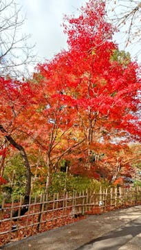 名古屋市東山動植物園に投稿された画像（2026/1/10）