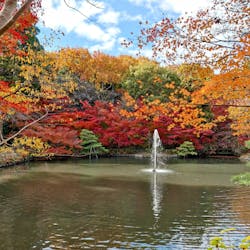 名古屋市東山動植物園に投稿された画像（2026/1/10）
