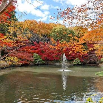 名古屋市東山動植物園に投稿された画像（2026/1/10）
