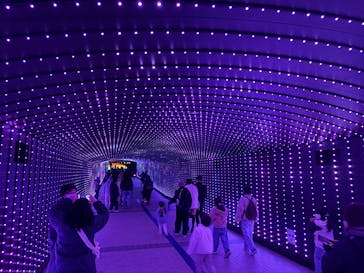 東京メガイルミに投稿された画像（2026/1/10）