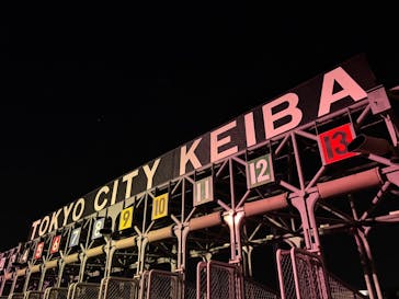 東京メガイルミに投稿された画像（2026/1/10）