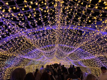 東京メガイルミに投稿された画像（2026/1/10）