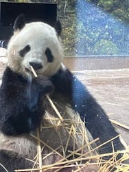 恩賜上野動物園に投稿された画像（2026/1/10）