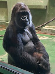 千葉市動物公園に投稿された画像（2026/1/10）