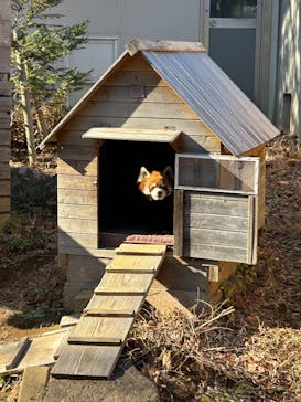 千葉市動物公園に投稿された画像（2026/1/10）