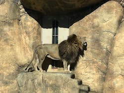 千葉市動物公園に投稿された画像（2026/1/10）