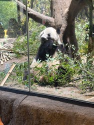 恩賜上野動物園に投稿された画像（2026/1/10）