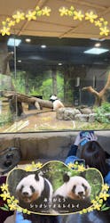 恩賜上野動物園に投稿された画像（2026/1/10）
