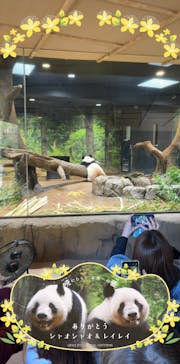 恩賜上野動物園に投稿された画像（2026/1/10）