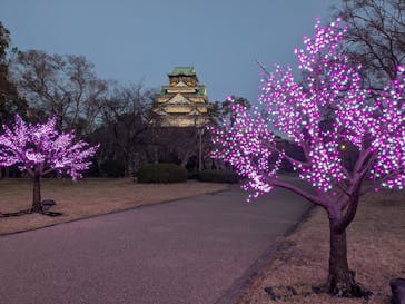 大阪城イルミナージュに投稿された画像（2026/1/10）
