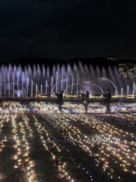 ハウステンボスに投稿された画像（2026/1/10）