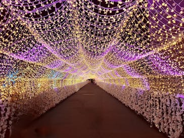 東京メガイルミに投稿された画像（2026/1/10）