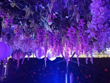 東京メガイルミに投稿された画像（2026/1/10）