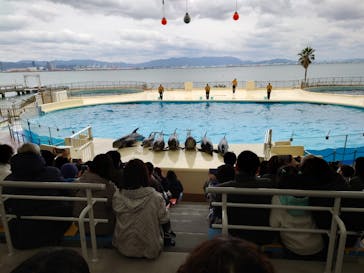 マリンワールド海の中道に投稿された画像（2026/1/10）