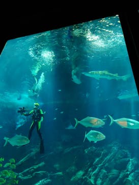 マリンワールド海の中道に投稿された画像（2026/1/10）