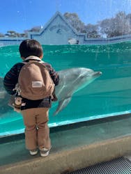 しながわ水族館に投稿された画像（2026/1/10）