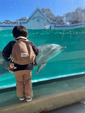 しながわ水族館に投稿された画像（2026/1/10）