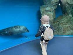 しながわ水族館に投稿された画像（2026/1/10）