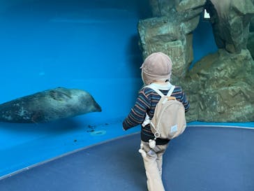 しながわ水族館に投稿された画像（2026/1/10）