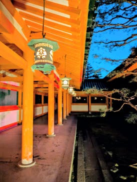 NAKEDヨルマイリ 2025-26 平安神宮に投稿された画像（2026/1/10）