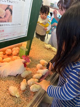 Moff animal world BIGHOPガーデンモール印西店に投稿された画像（2026/1/10）