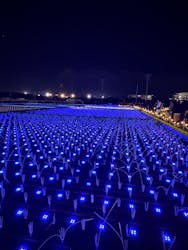 東京メガイルミに投稿された画像（2026/1/10）