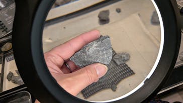 福井県立恐竜博物館に投稿された画像（2026/1/10）