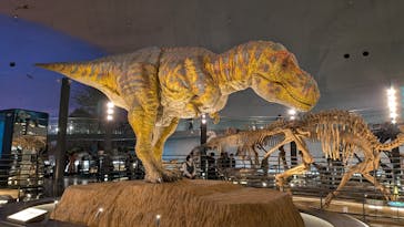 福井県立恐竜博物館に投稿された画像（2026/1/10）