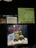 竹島水族館に投稿された画像（2026/1/10）