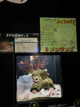 竹島水族館に投稿された画像（2026/1/10）